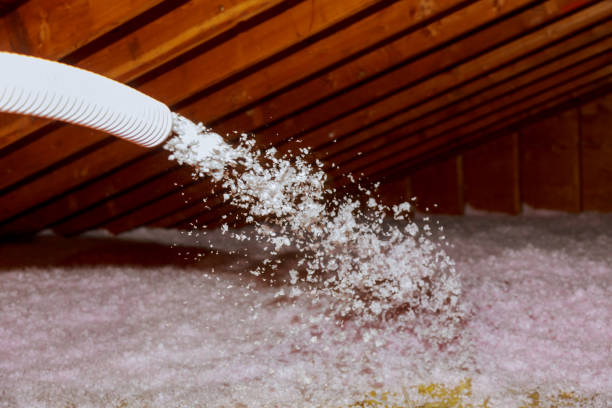 Best Energy Efficiency Solutions in Kingston, NJ
